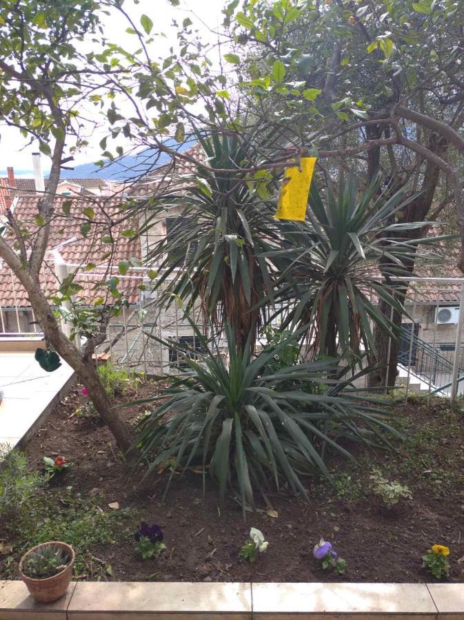 Apartment Cepic Herceg Novi Exterior foto